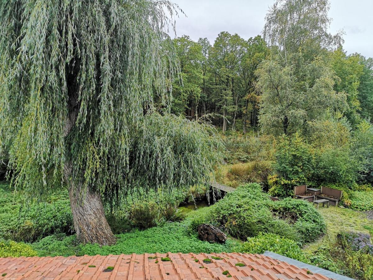 Vakantieverblijf Volmolen B&B Маасейк Екстериор снимка